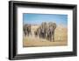 The World's Greatest Parade-Jeffrey C. Sink-Framed Photographic Print