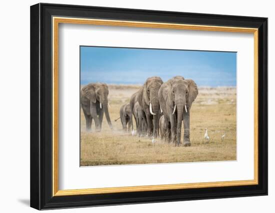 The World's Greatest Parade-Jeffrey C. Sink-Framed Photographic Print