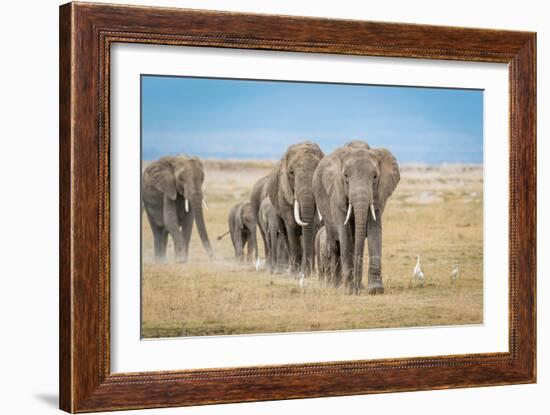 The World's Greatest Parade-Jeffrey C. Sink-Framed Photographic Print