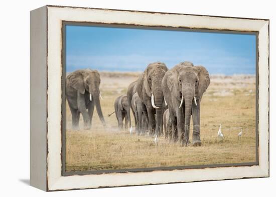 The World's Greatest Parade-Jeffrey C. Sink-Framed Premier Image Canvas