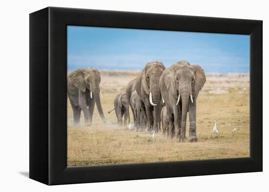 The World's Greatest Parade-Jeffrey C. Sink-Framed Premier Image Canvas