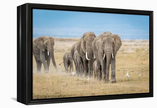 The World's Greatest Parade-Jeffrey C. Sink-Framed Premier Image Canvas