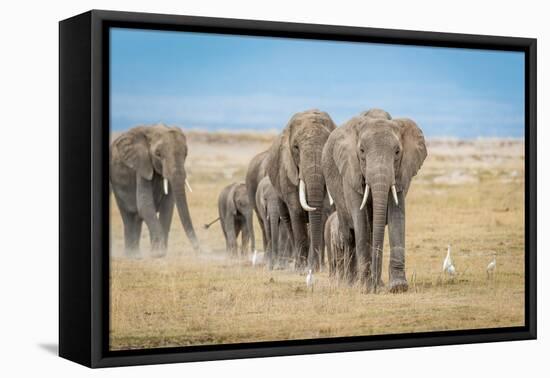 The World's Greatest Parade-Jeffrey C. Sink-Framed Premier Image Canvas