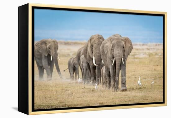 The World's Greatest Parade-Jeffrey C. Sink-Framed Premier Image Canvas