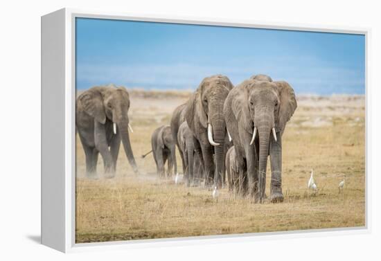 The World's Greatest Parade-Jeffrey C. Sink-Framed Premier Image Canvas