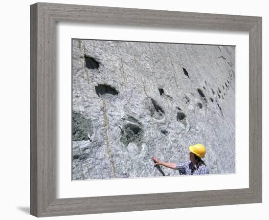 The World's Longest Dinosaur Tracks, Cretaceous Titanosaurus, Near Sucre, Bolivia, South America-Tony Waltham-Framed Photographic Print