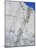 The World's Longest Dinosaur Tracks, Cretaceous Titanosaurus, Near Sucre, Bolivia, South America-Tony Waltham-Mounted Photographic Print