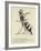 The Worrying Whizzing Wasp-Edward Lear-Framed Giclee Print