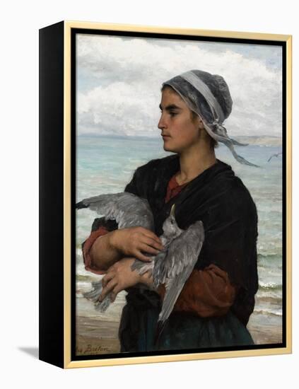 The Wounded Sea Gull, 1878-Jules Breton-Framed Premier Image Canvas