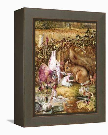 The Wounded Squirrel-John Anster Fitzgerald-Framed Premier Image Canvas