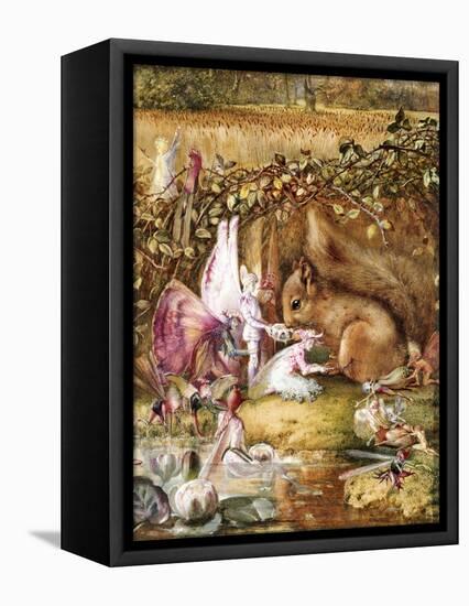 The Wounded Squirrel-John Anster Fitzgerald-Framed Premier Image Canvas
