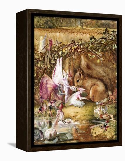 The Wounded Squirrel-John Anster Fitzgerald-Framed Premier Image Canvas