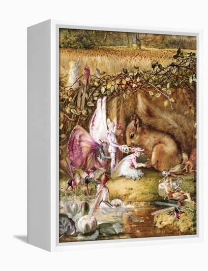 The Wounded Squirrel-John Anster Fitzgerald-Framed Premier Image Canvas