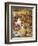 The Wounded Squirrel-John Anster Fitzgerald-Framed Giclee Print