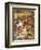 The Wounded Squirrel-John Anster Fitzgerald-Framed Giclee Print