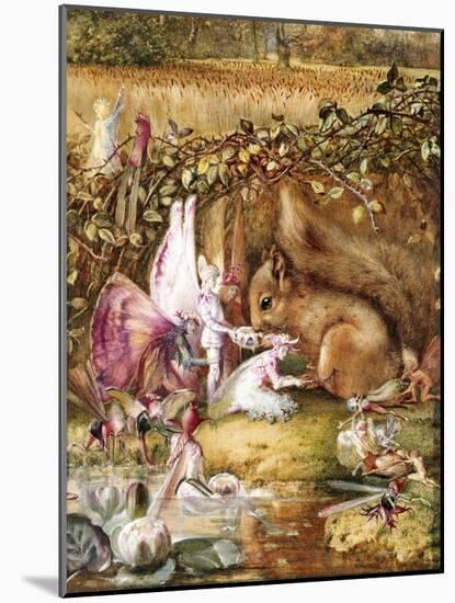 The Wounded Squirrel-John Anster Fitzgerald-Mounted Giclee Print