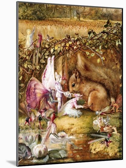 The Wounded Squirrel-John Anster Fitzgerald-Mounted Giclee Print
