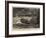 The Wreck of the Steamer China, Landing the Passangers on Perim Island-Joseph Nash-Framed Giclee Print