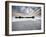 The wreck-null-Framed Photographic Print