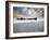 The wreck-null-Framed Photographic Print