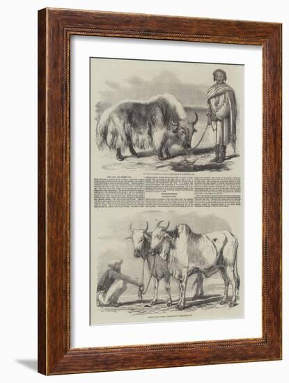 The Yak, or Thibet Ox-William Carpenter-Framed Giclee Print