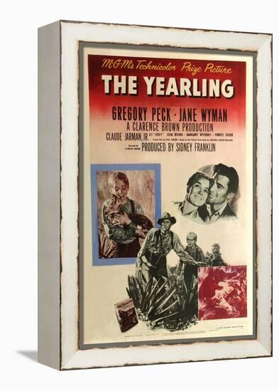 The Yearling, 1946-null-Framed Premier Image Canvas