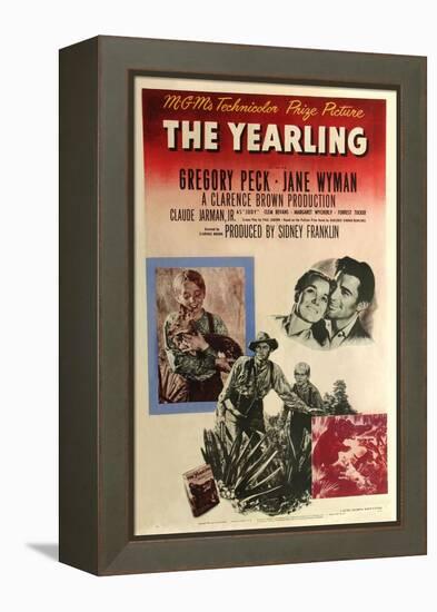 The Yearling, 1946-null-Framed Premier Image Canvas