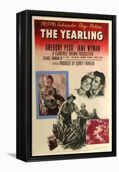 The Yearling, 1946-null-Framed Premier Image Canvas