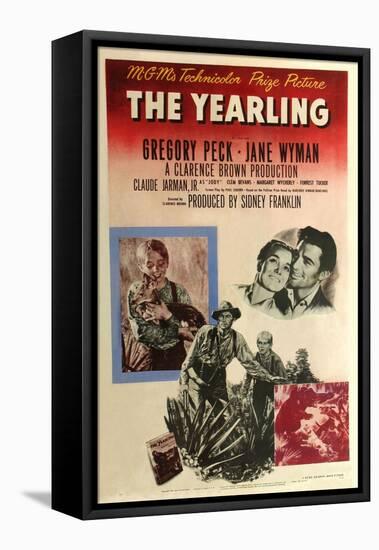 The Yearling, 1946-null-Framed Premier Image Canvas