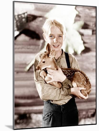 The Yearling, Claude Jarman Jr., 1946-null-Mounted Photo