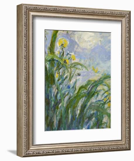 The Yellow Iris (Detail)-Claude Monet-Framed Giclee Print