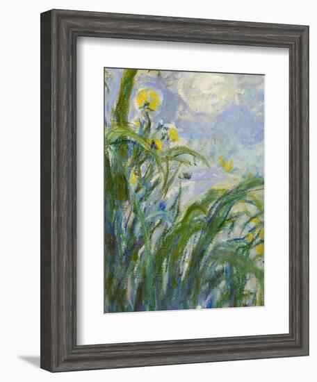 The Yellow Iris (Detail)-Claude Monet-Framed Giclee Print