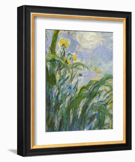 The Yellow Iris (Detail)-Claude Monet-Framed Giclee Print