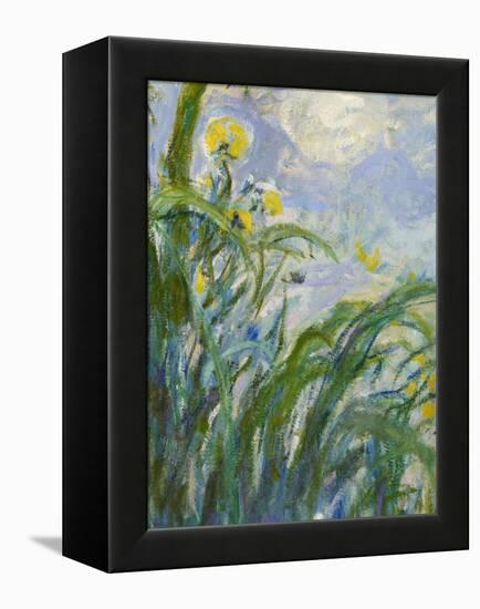 The Yellow Iris (Detail)-Claude Monet-Framed Premier Image Canvas