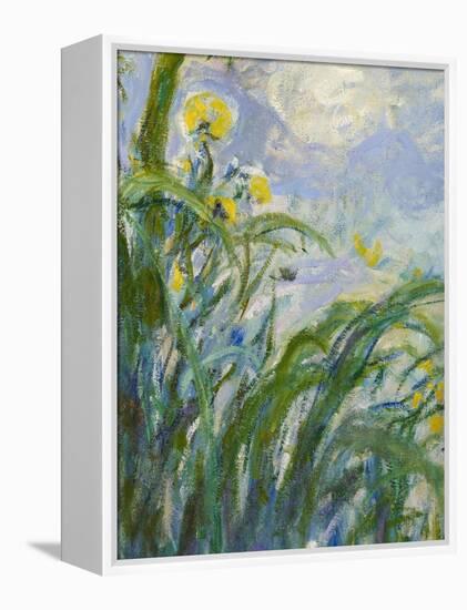 The Yellow Iris (Detail)-Claude Monet-Framed Premier Image Canvas