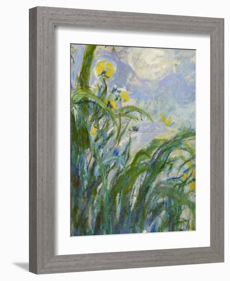 The Yellow Iris (Detail)-Claude Monet-Framed Giclee Print