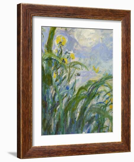 The Yellow Iris (Detail)-Claude Monet-Framed Giclee Print