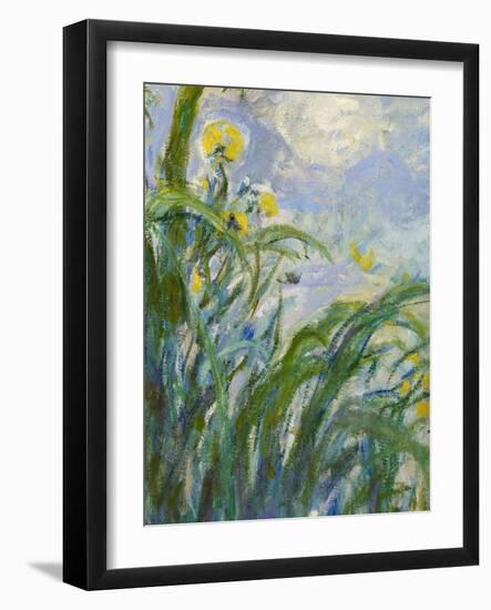 The Yellow Iris (Detail)-Claude Monet-Framed Giclee Print