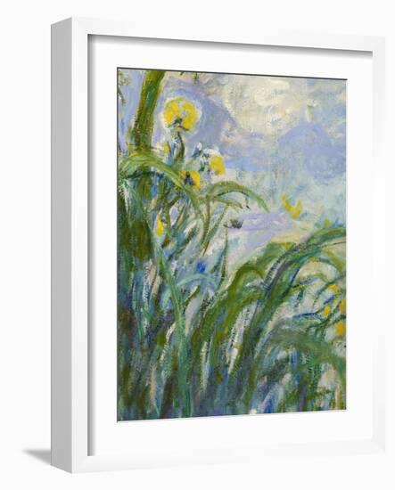 The Yellow Iris (Detail)-Claude Monet-Framed Giclee Print