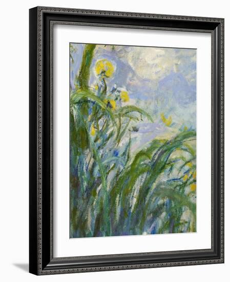 The Yellow Iris (Detail)-Claude Monet-Framed Giclee Print