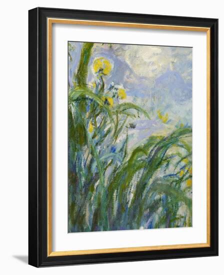 The Yellow Iris (Detail)-Claude Monet-Framed Giclee Print