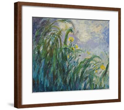 'The Yellow Iris' Giclee Print - Claude Monet | Art.com