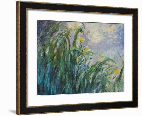 The Yellow Iris-Claude Monet-Framed Giclee Print