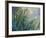 The Yellow Iris-Claude Monet-Framed Giclee Print