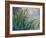 The Yellow Iris-Claude Monet-Framed Giclee Print