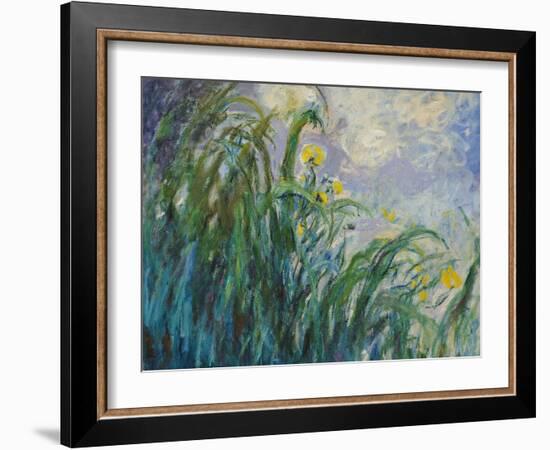 The Yellow Iris-Claude Monet-Framed Giclee Print