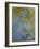 The Yellow Iris-Claude Monet-Framed Giclee Print