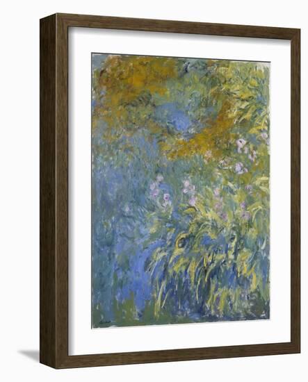 The Yellow Iris-Claude Monet-Framed Giclee Print