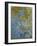 The Yellow Iris-Claude Monet-Framed Giclee Print