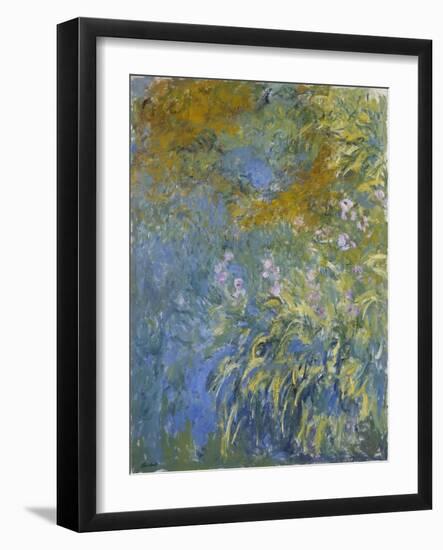 The Yellow Iris-Claude Monet-Framed Giclee Print